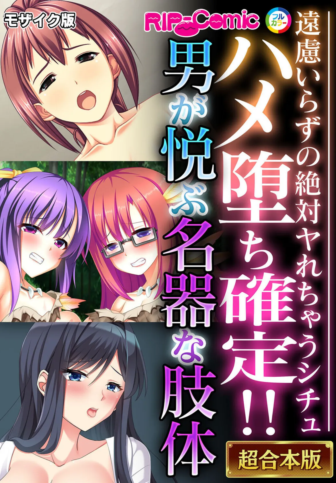 ハメ堕ち確定！！男が悦ぶ名器な肢体 〜遠慮いらずの絶対ヤれちゃうシチュ〜【超合本シリーズ】 モザイク版