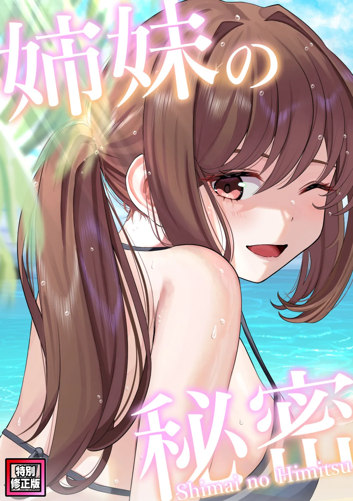 姉妹の秘密【特別修正版】(18)