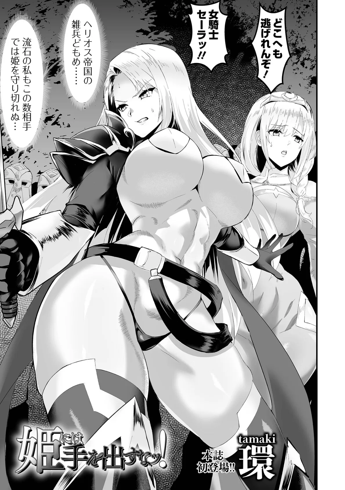 姫には手を出すなッ!