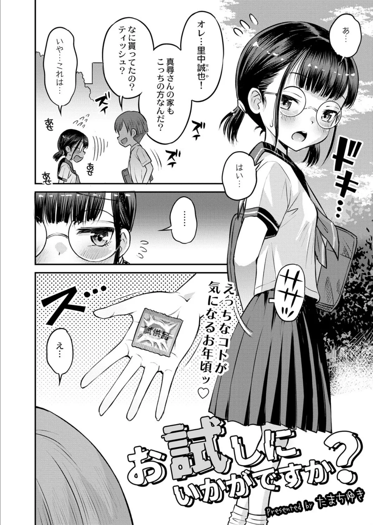 お試しにいかがですか? 2ページ