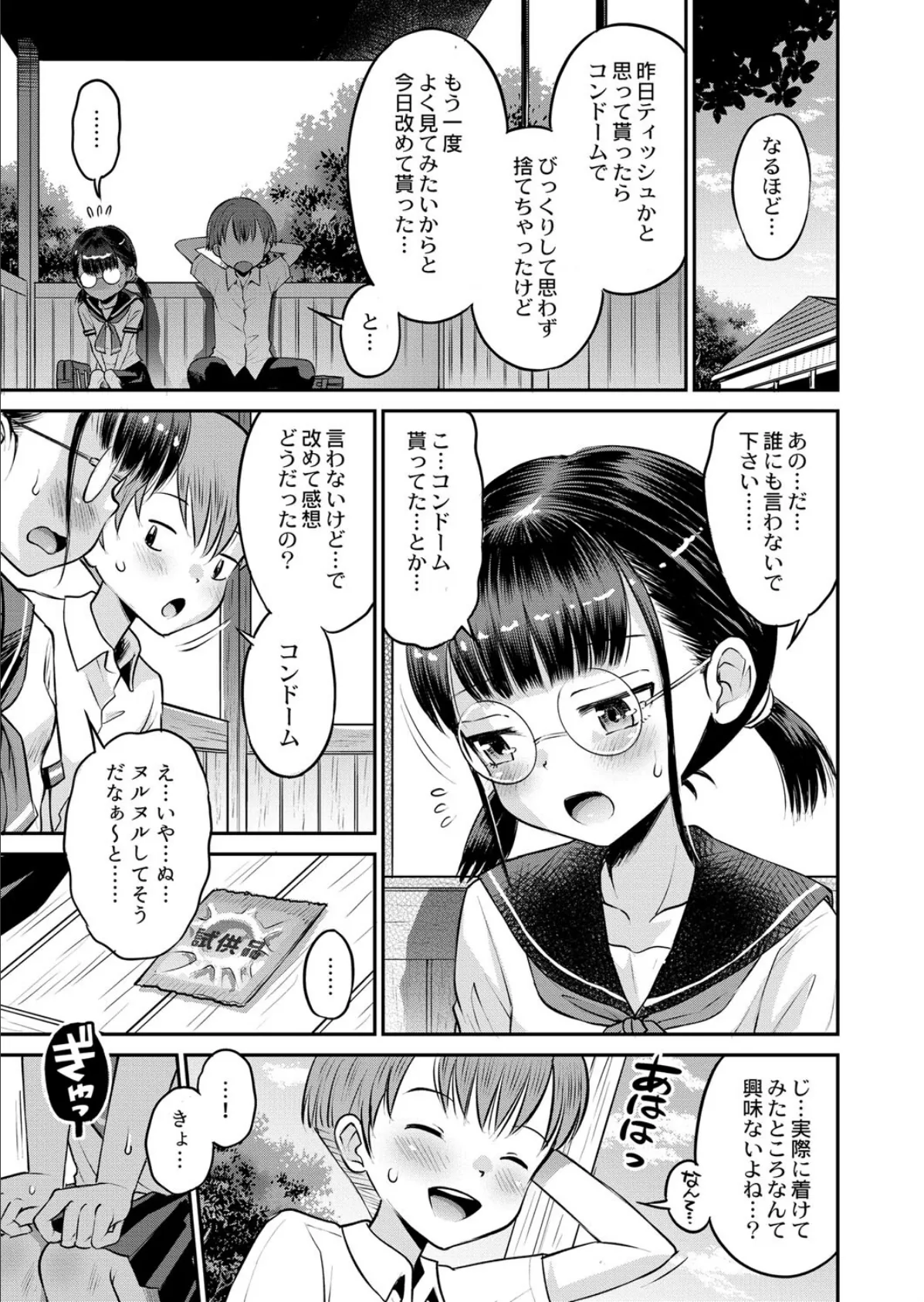 お試しにいかがですか? 3ページ