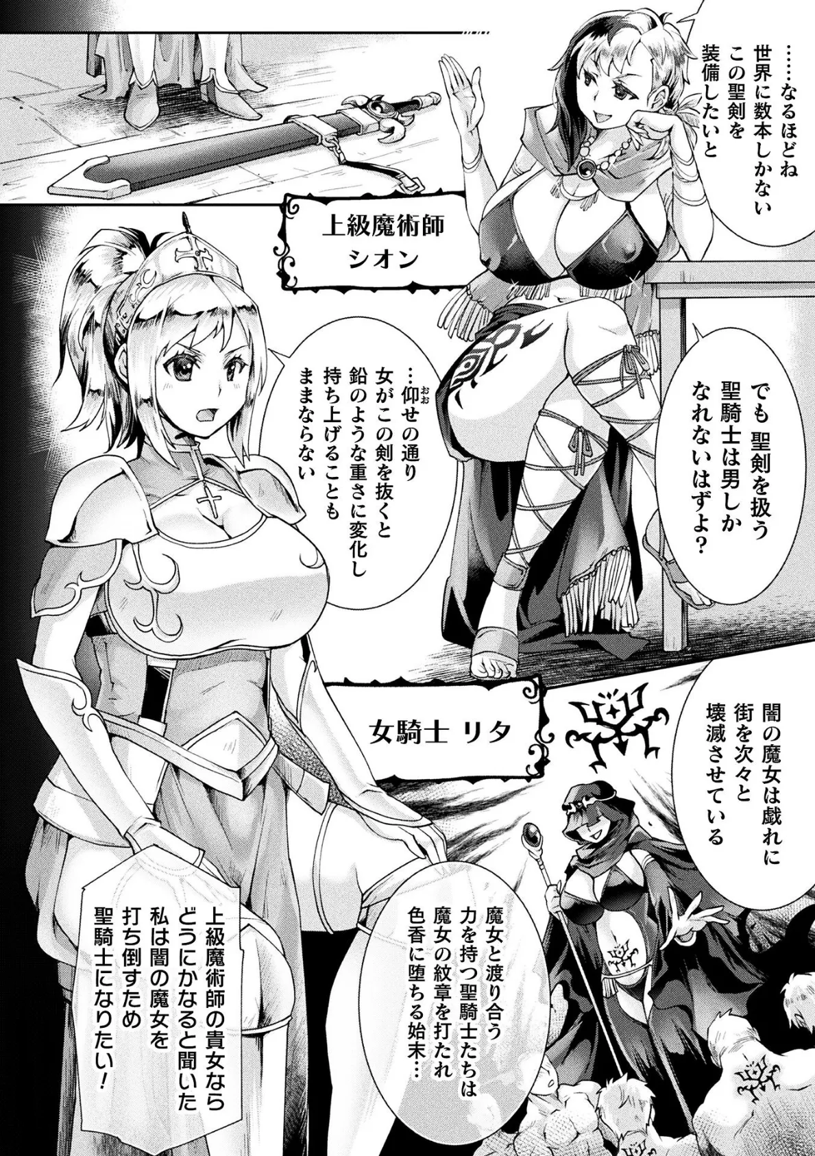 禁断のクラスチェンジ！ 聖騎士もヤリたいッ【単話】 2ページ