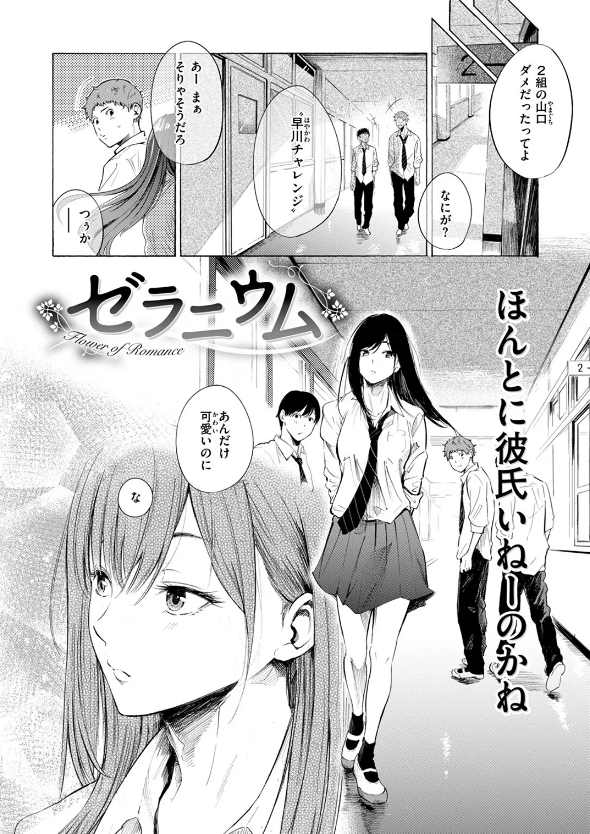 ゼラニウム 4ページ